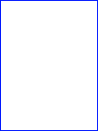 image(11).png
